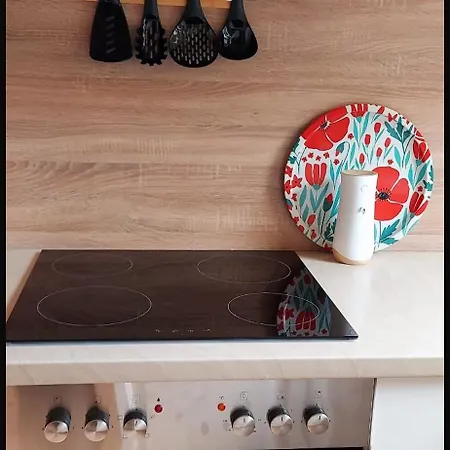 Green Home Mittenaar Apartament Mittenaar